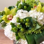 Product_Madeline_IMG-2614.jpg