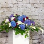 Product_Strong&Bold_IMG_5990.jpg