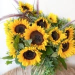Product_Endless Sunflowers_IMG-4852.jpg