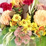 Product_Butterscotch_IMG-0968.jpg