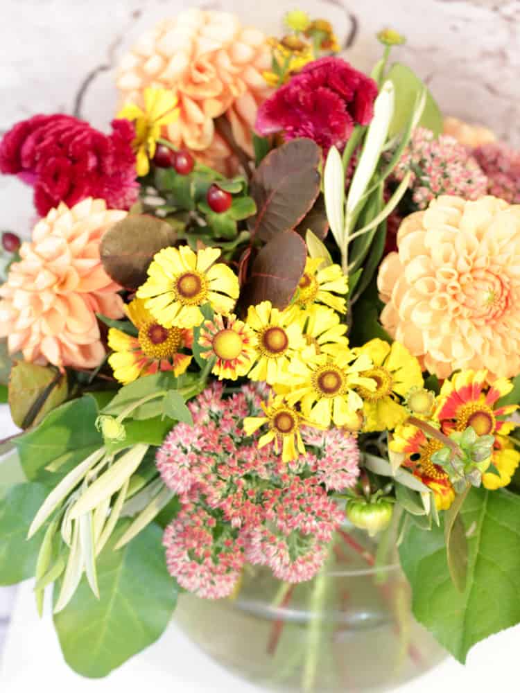 Product_Butterscotch_IMG-0968.jpg