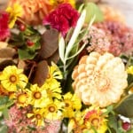 Product_Butterscotch_IMG-0971.jpg