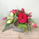 Product_Cedar Scented_IMG-1910.jpg
