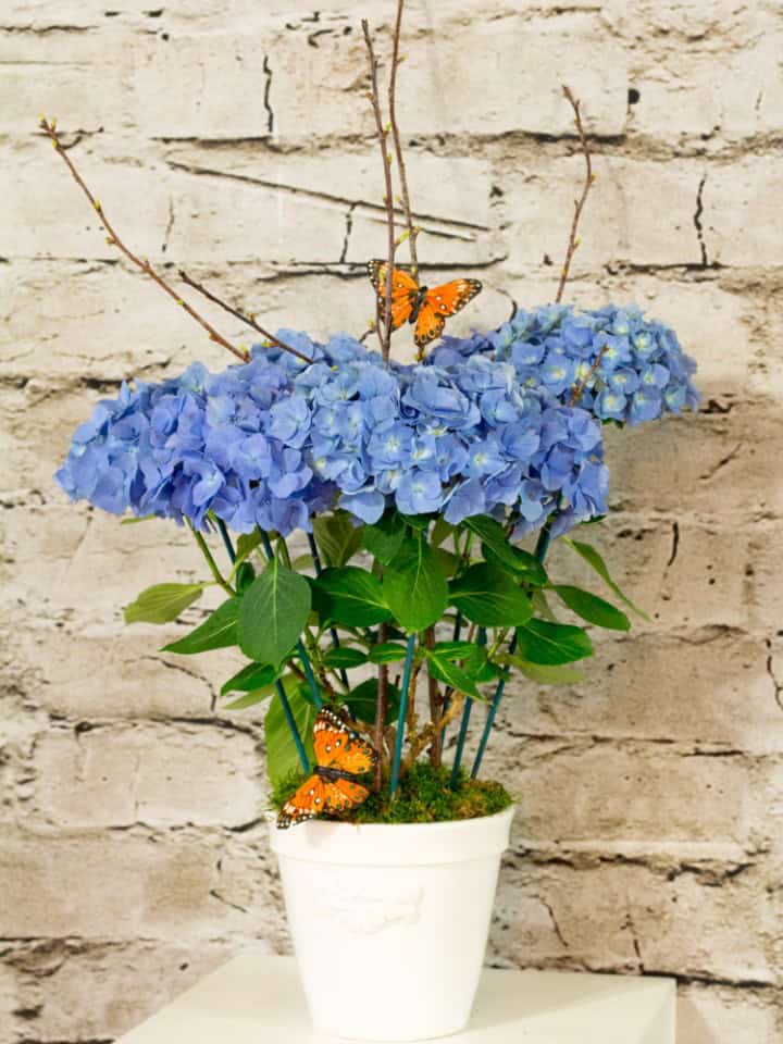Product_IMG_5702.jpg