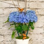 Product_IMG_5705.jpg