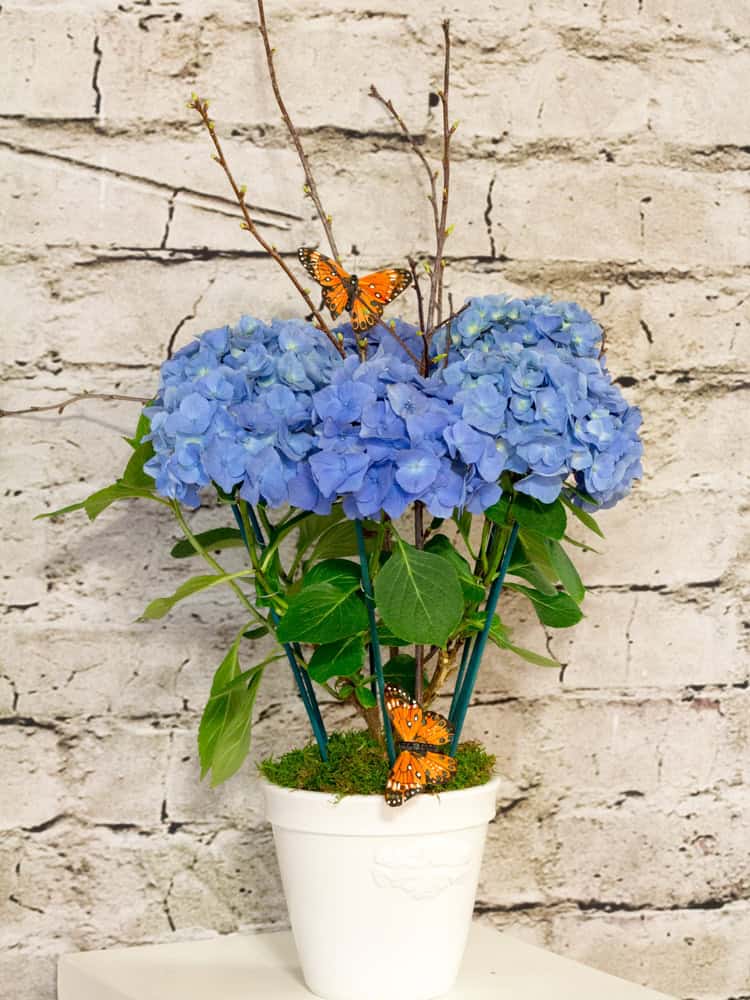 Product_IMG_5705.jpg