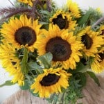 Product_Endless Sunflowers_IMG-4861.jpg