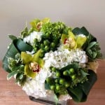 Product_Madeline_IMG-2610.jpg