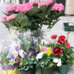 Product_DIY Spring Urn_IMG-4863.jpg