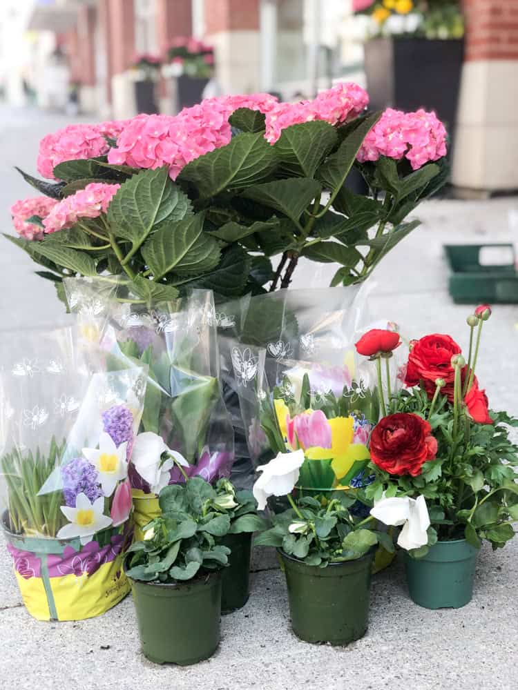 Product_DIY Spring Urn_IMG-4863.jpg