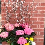 Product_DIY Spring Urn_IMG-4867.jpg