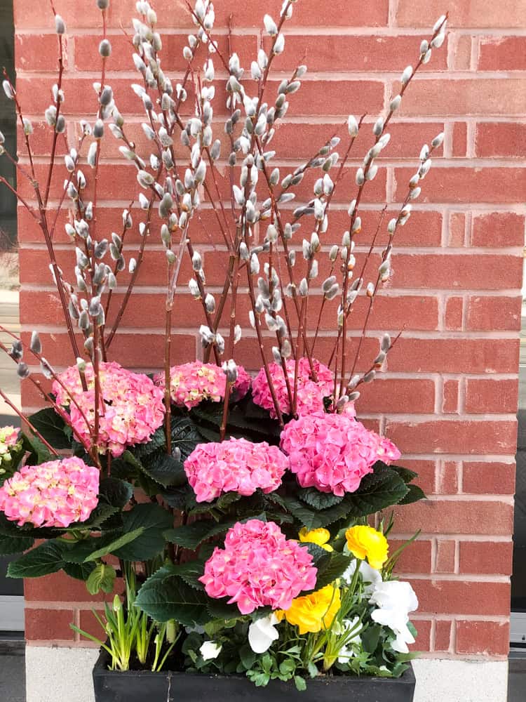 Product_DIY Spring Urn_IMG-4867.jpg