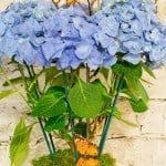 Product_IMG_5706.jpg